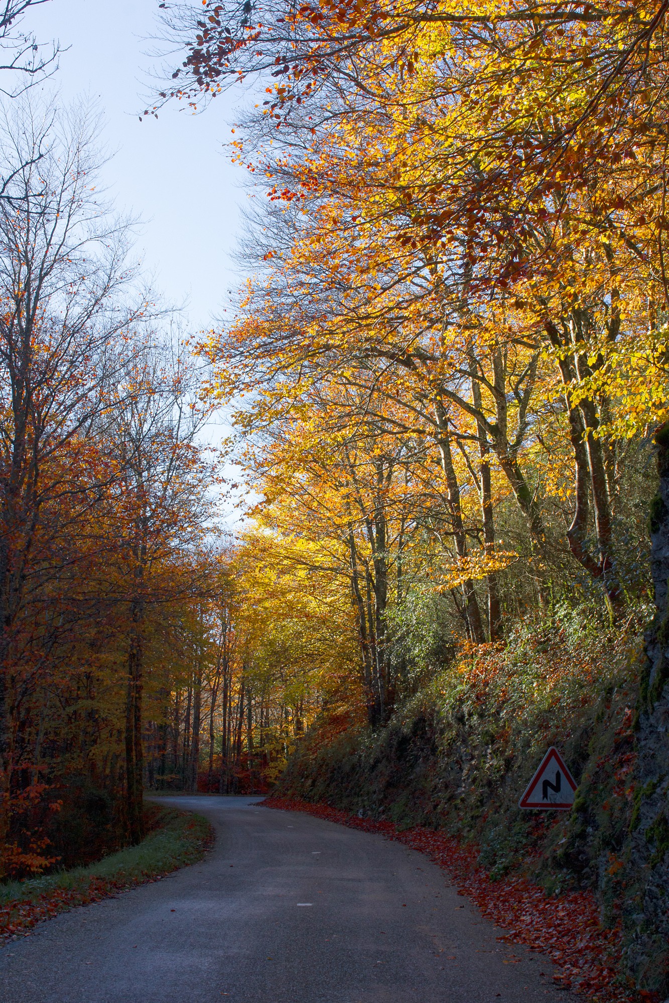 léoncel en automne