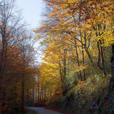 léoncel en automne