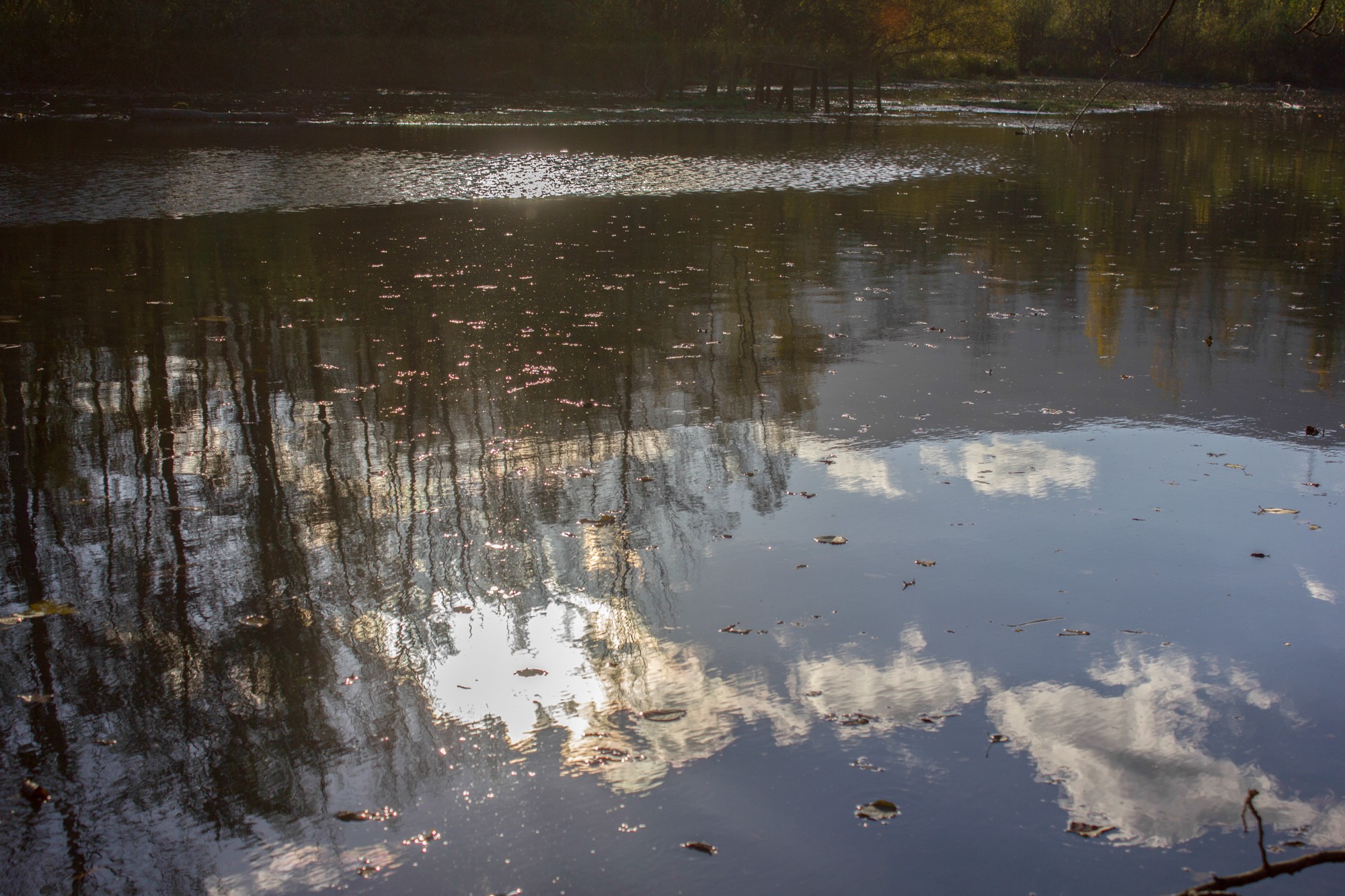 lumière sur le lac