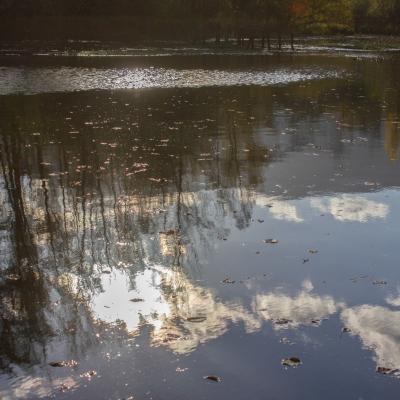 lumière sur le lac