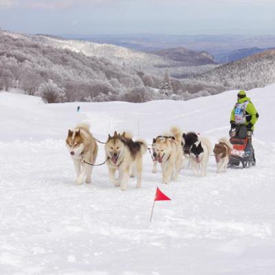 ET vercors quest 2018-4308