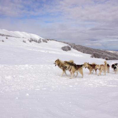 ET vercors quest 2018-4309