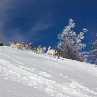 ET vercors quest 2018-4326