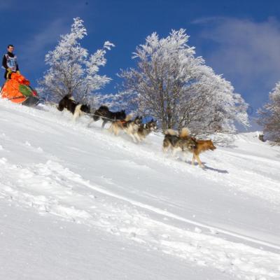 ET vercors quest 2018-4337