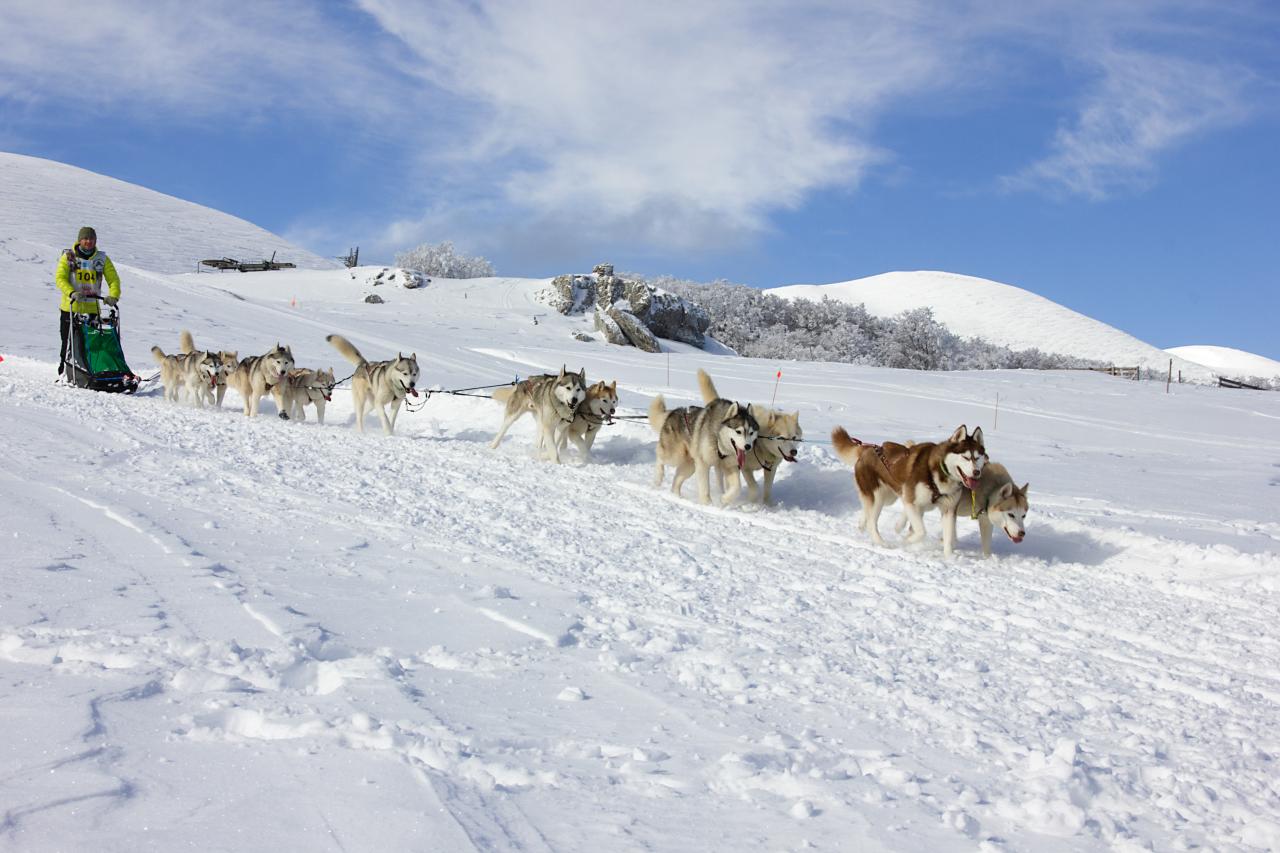 ET vercors quest 2018-4368