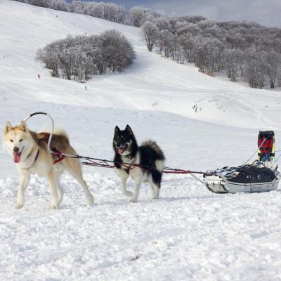 ET vercors quest 2018-4385