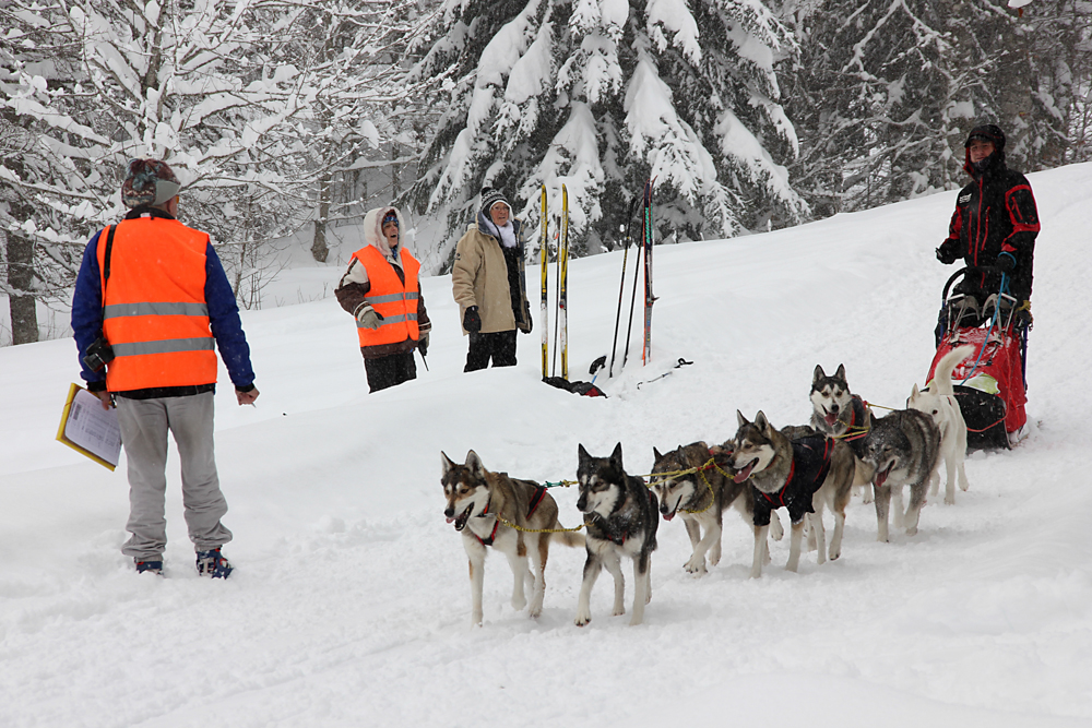 Evelyne T Vercors Quest-2