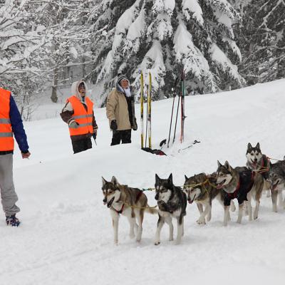 Evelyne T Vercors Quest-2