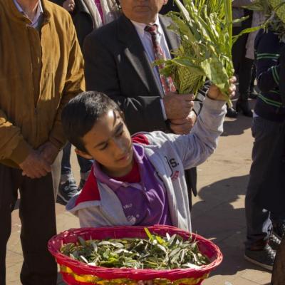 fête des rameaux en sardaigne