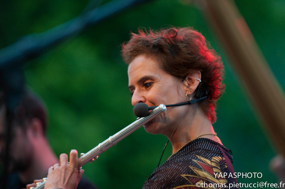 Fête de la musique 2014-0029