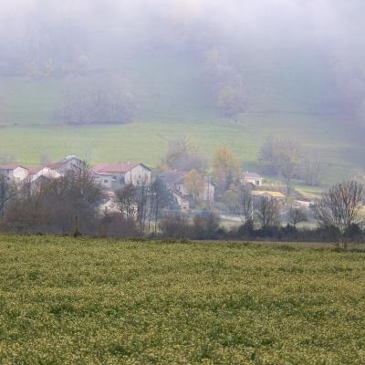 Gagnere dans la brume par jean yves g