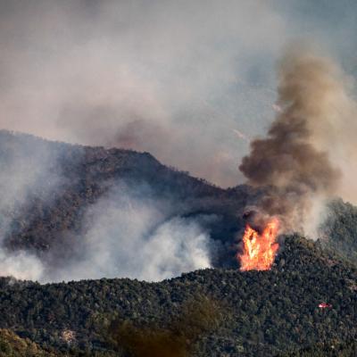 incendit de foret à romeyer