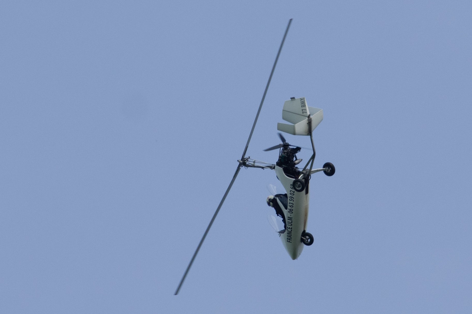 Gg helico 3428