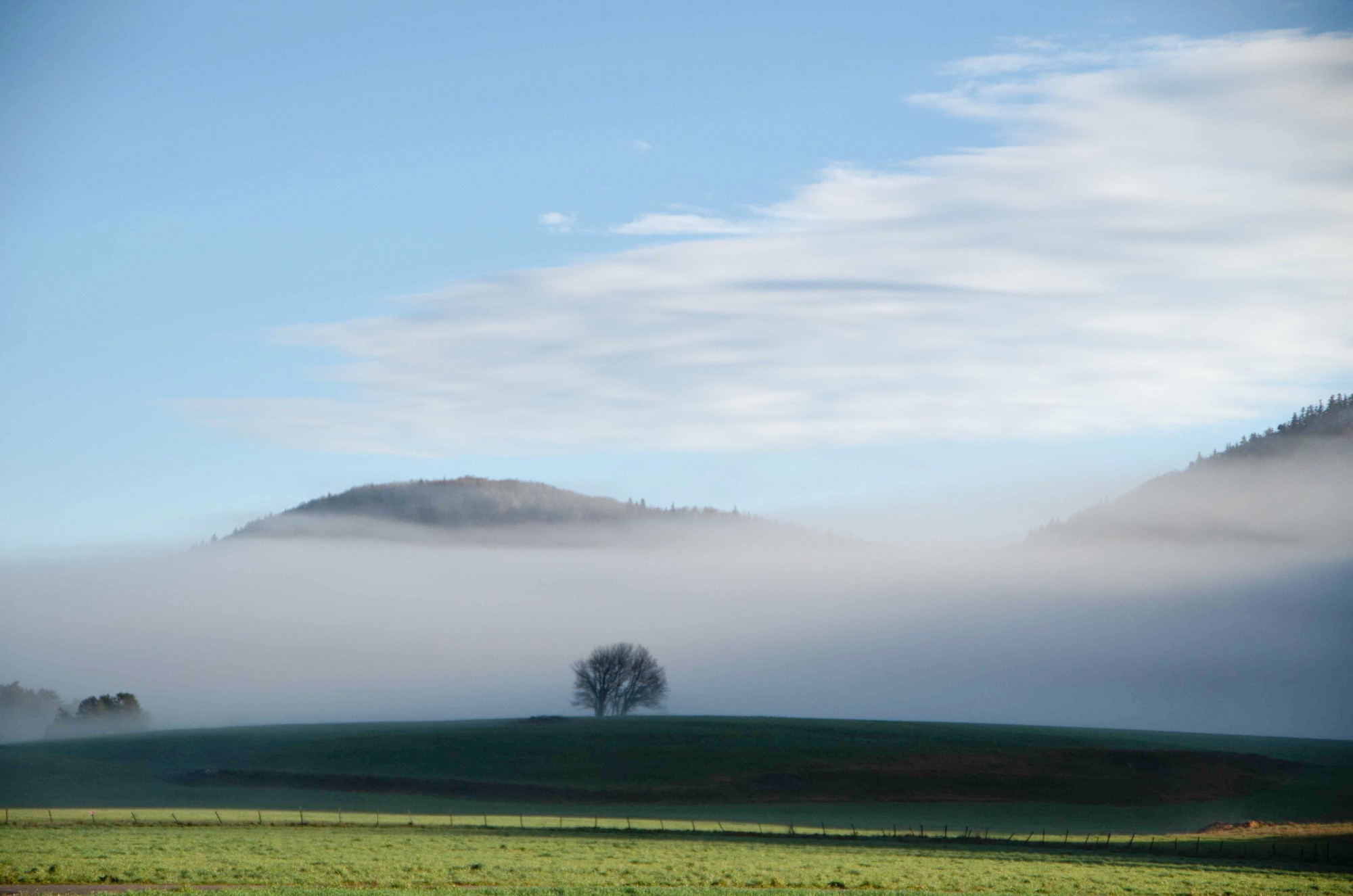 paysage vassieux