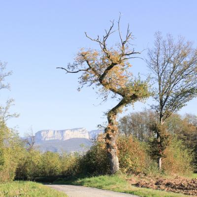 Gh che ne st just de claix