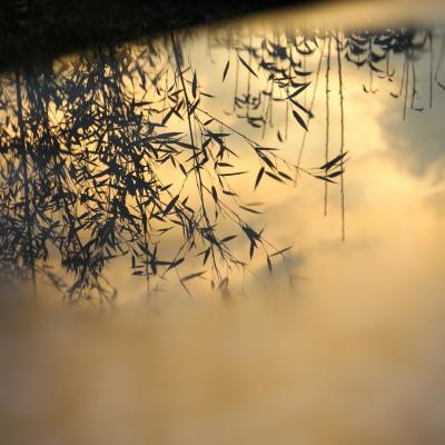 coucher de soleil en miroir