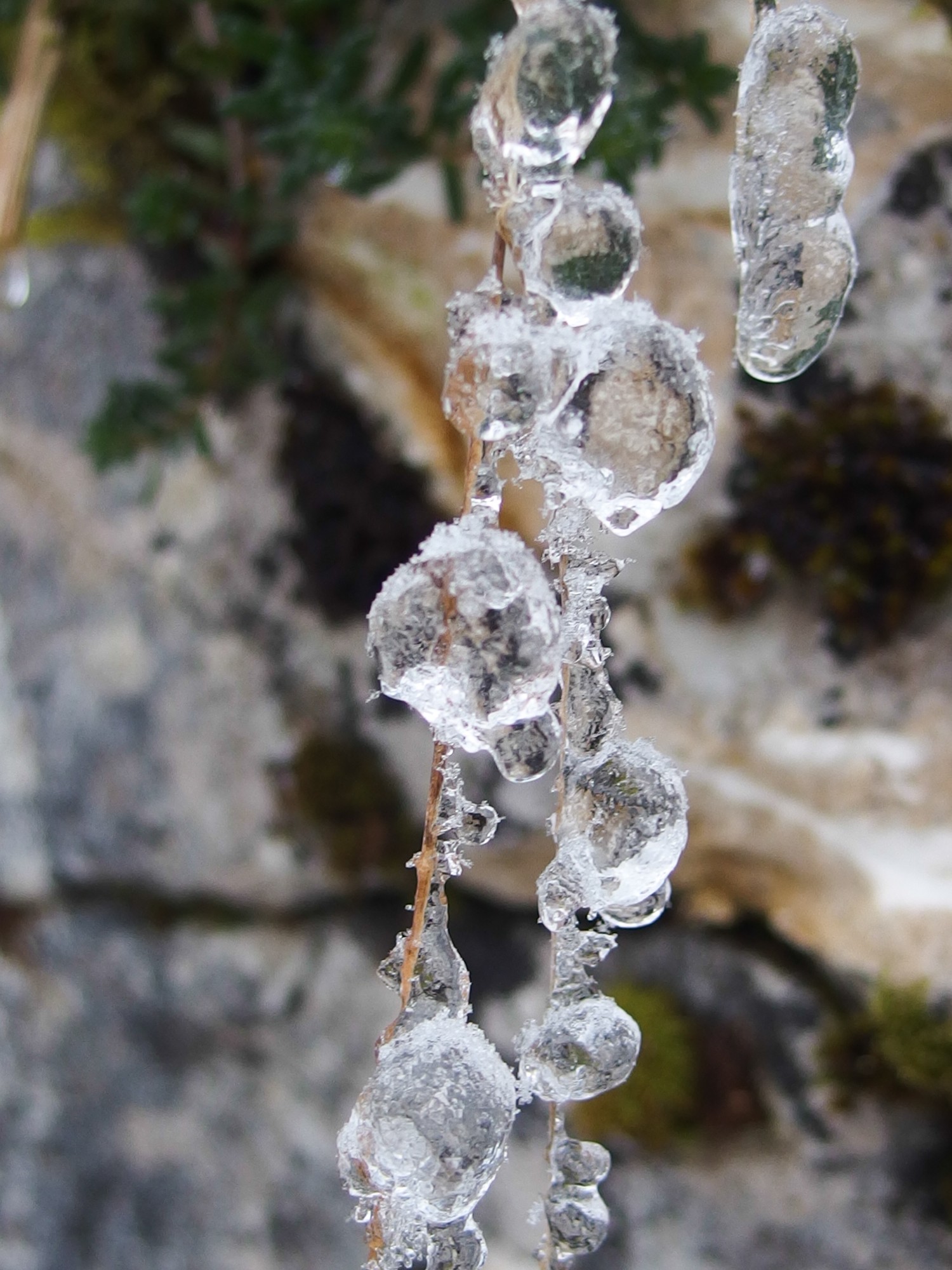 fleur de glace