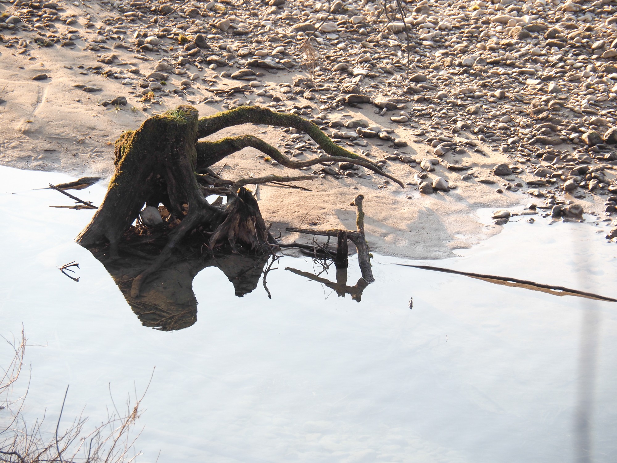 le gardien des eaux