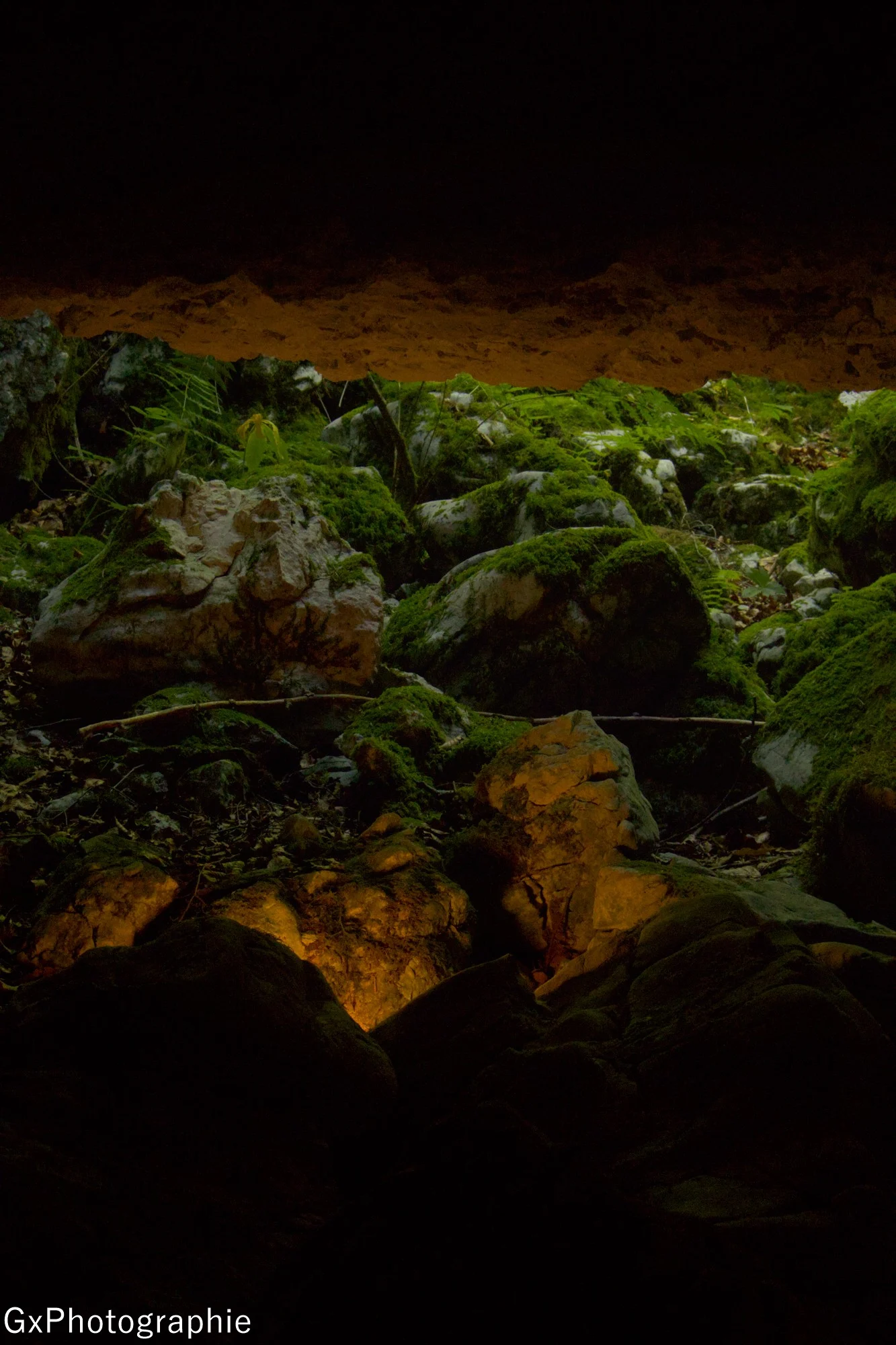 Gxyannis sortie foret de lente 10 