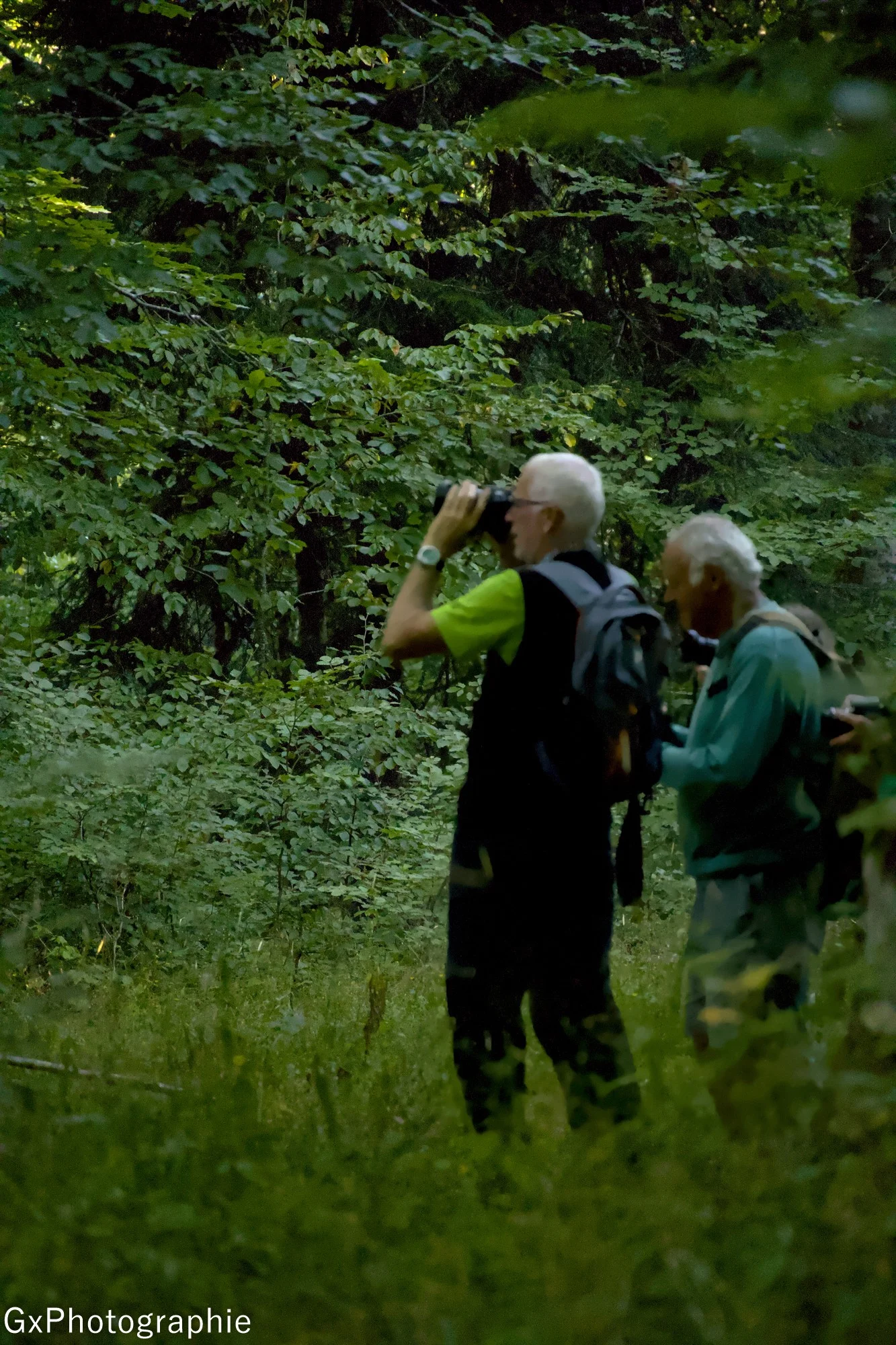 Gxyannis sortie foret de lente 5 