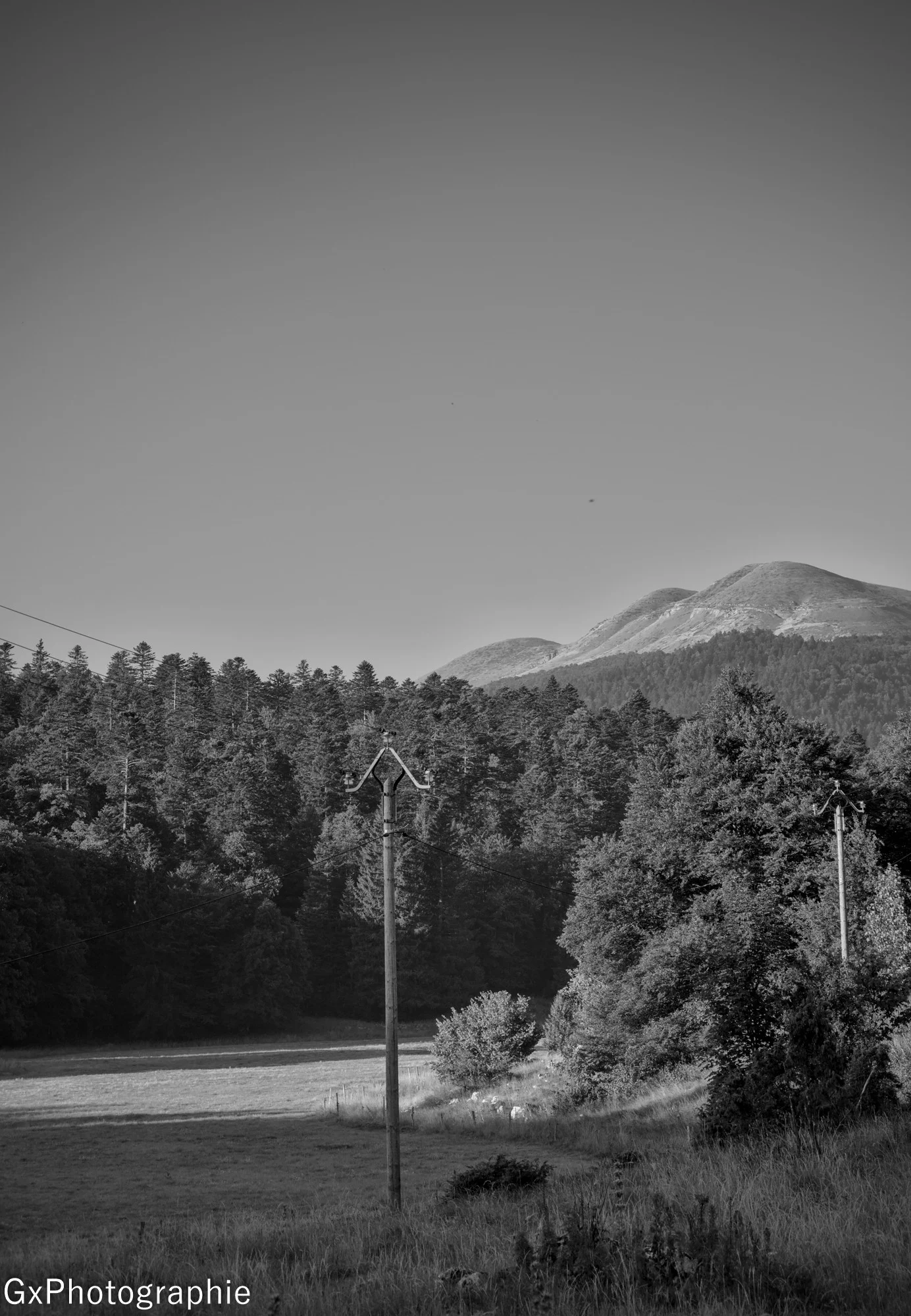 Gxyannis sortie foret de lente