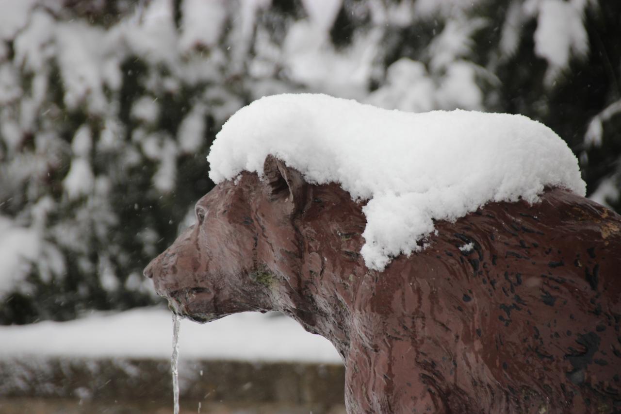 Chevelure de neige sur l'un des ours de la fontaine.