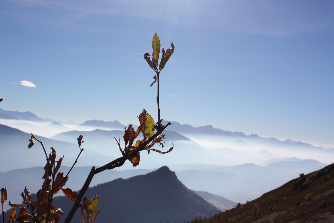 balcon est vu du Triève (2)