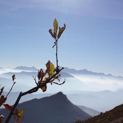 balcon est vu du Triève (2)