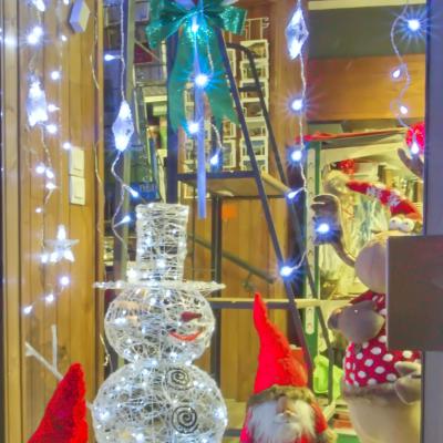 Img 8647 vitrine noel