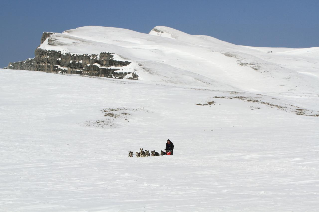 Vercors Quest BB-14