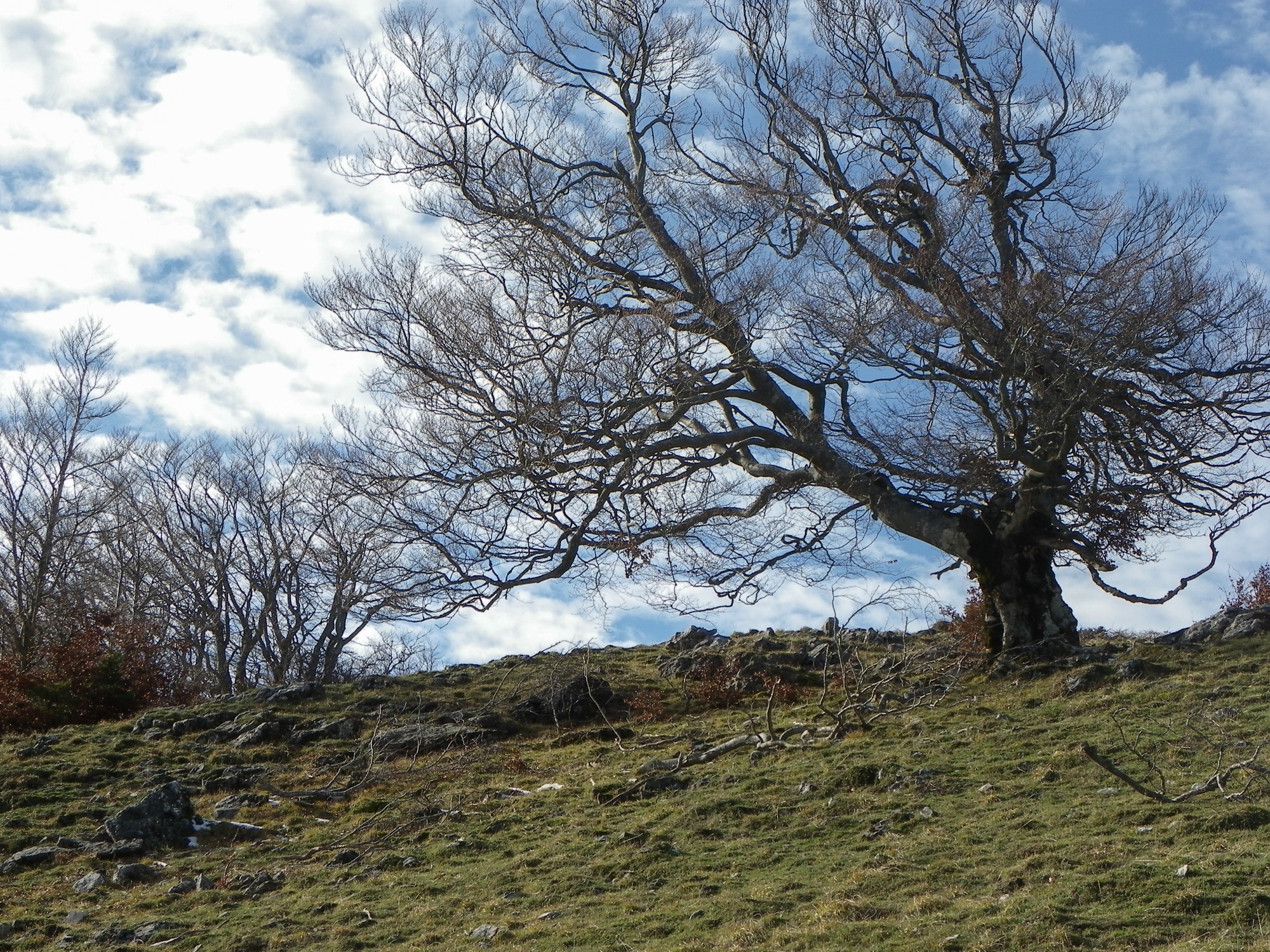 plein ciel sous le Montuet