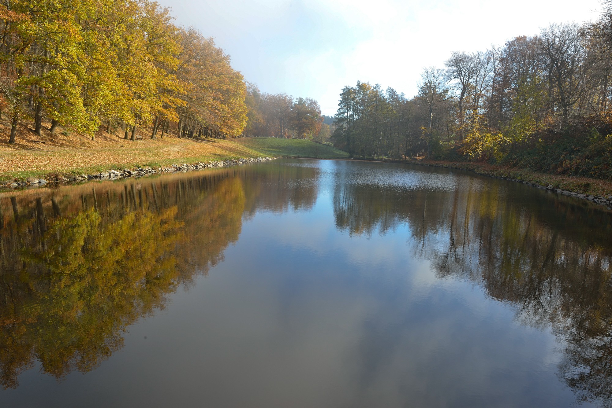 étang des bords de loire