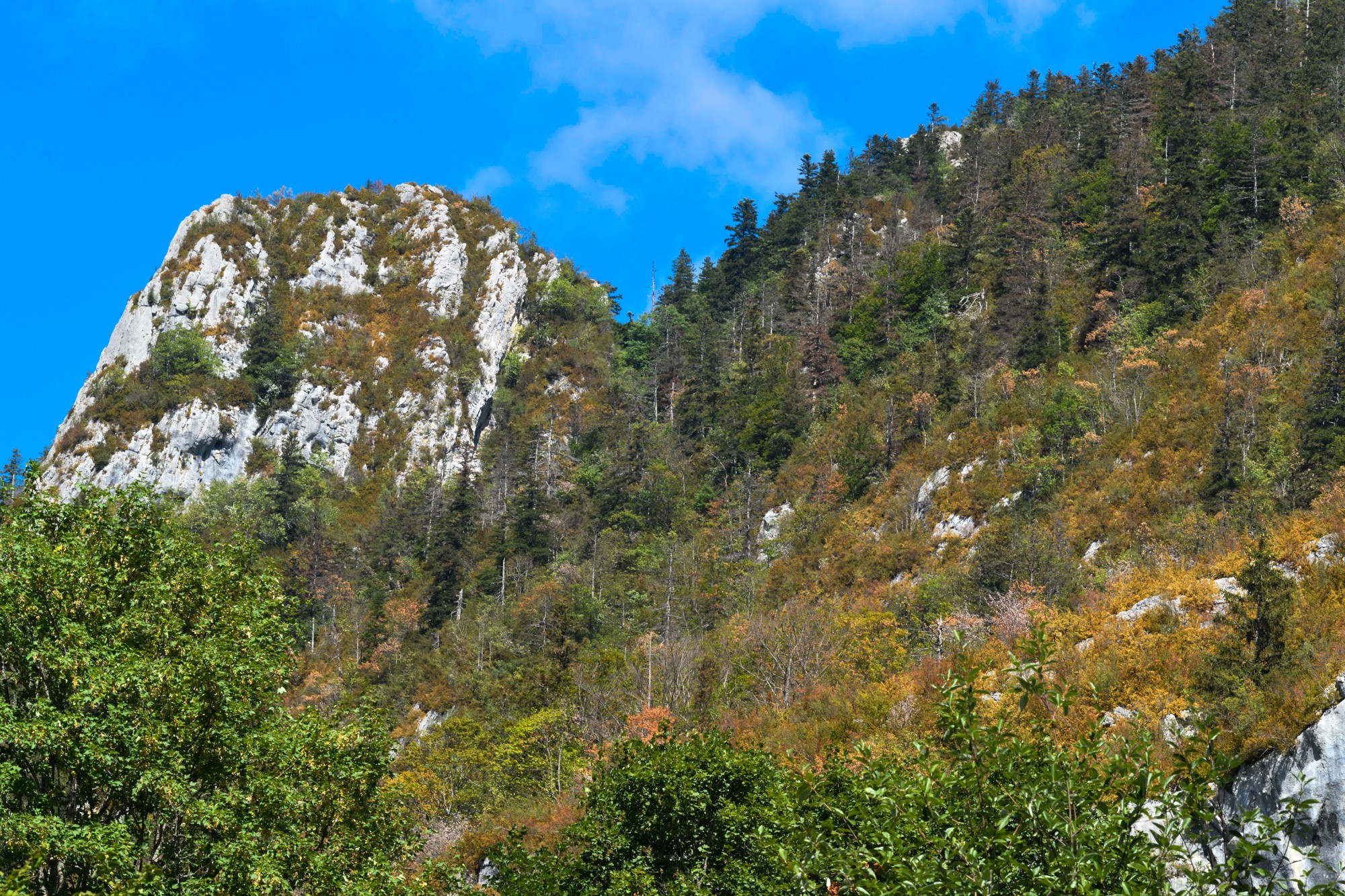 été 2022 dans le vercors