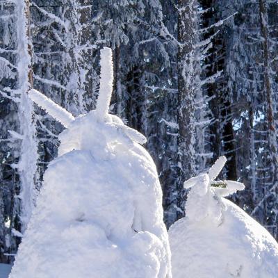 conférence de lapins