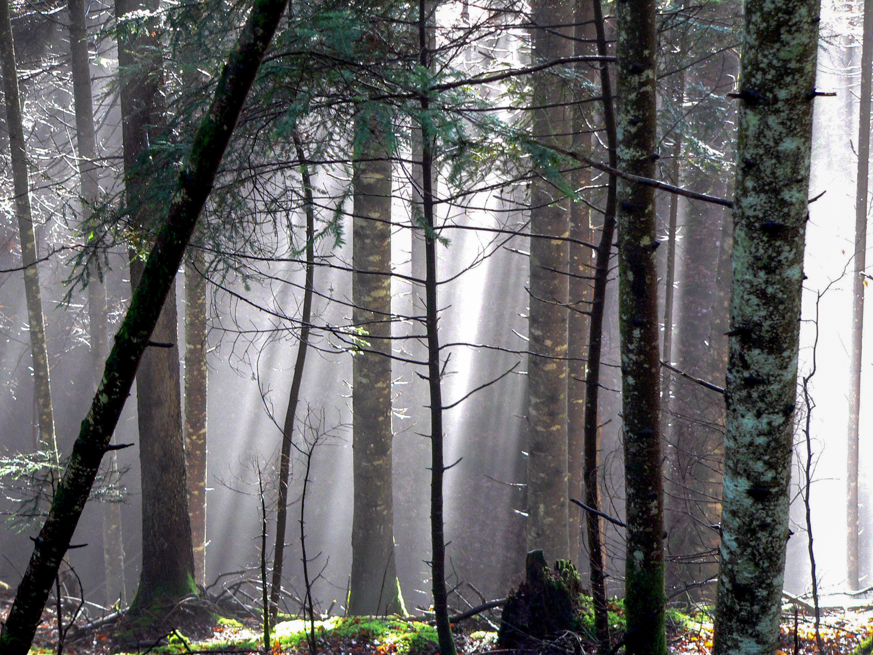 brume et rayons de soleil