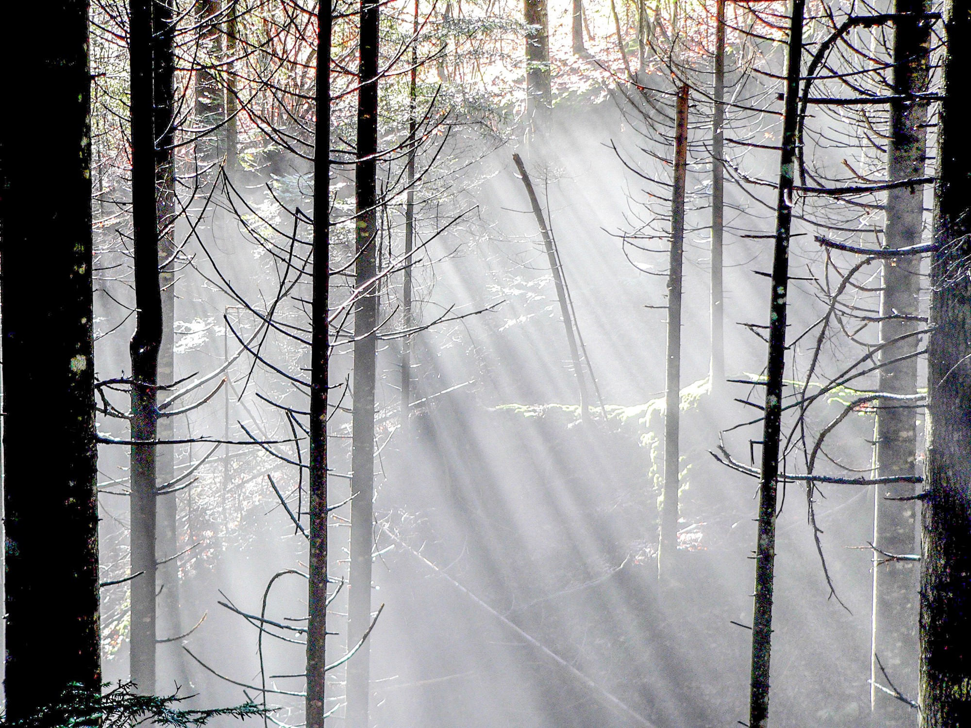 cascade de lumière