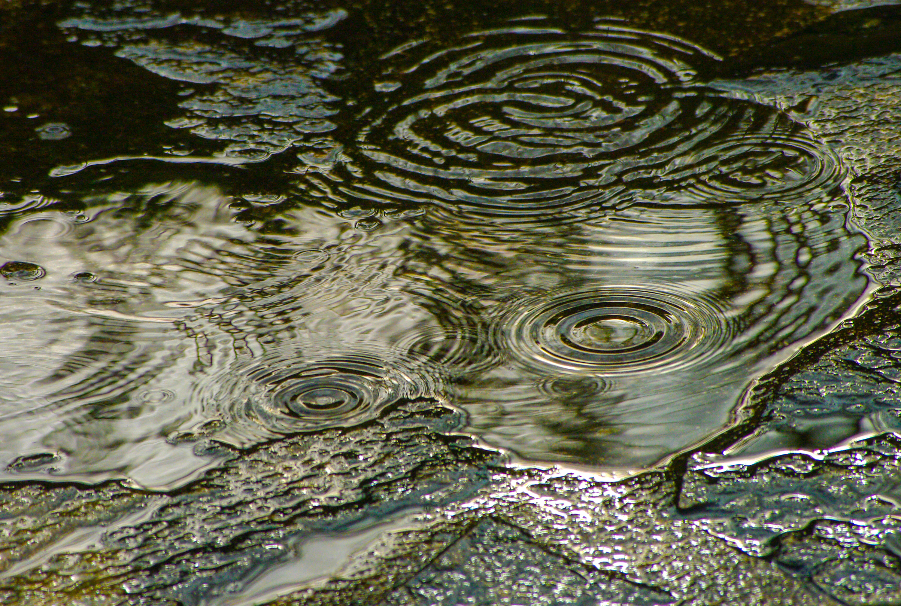 des ronds dans l'eau