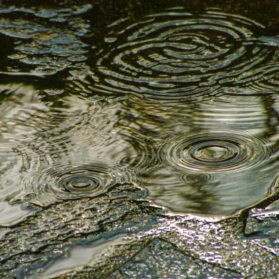 des ronds dans l'eau