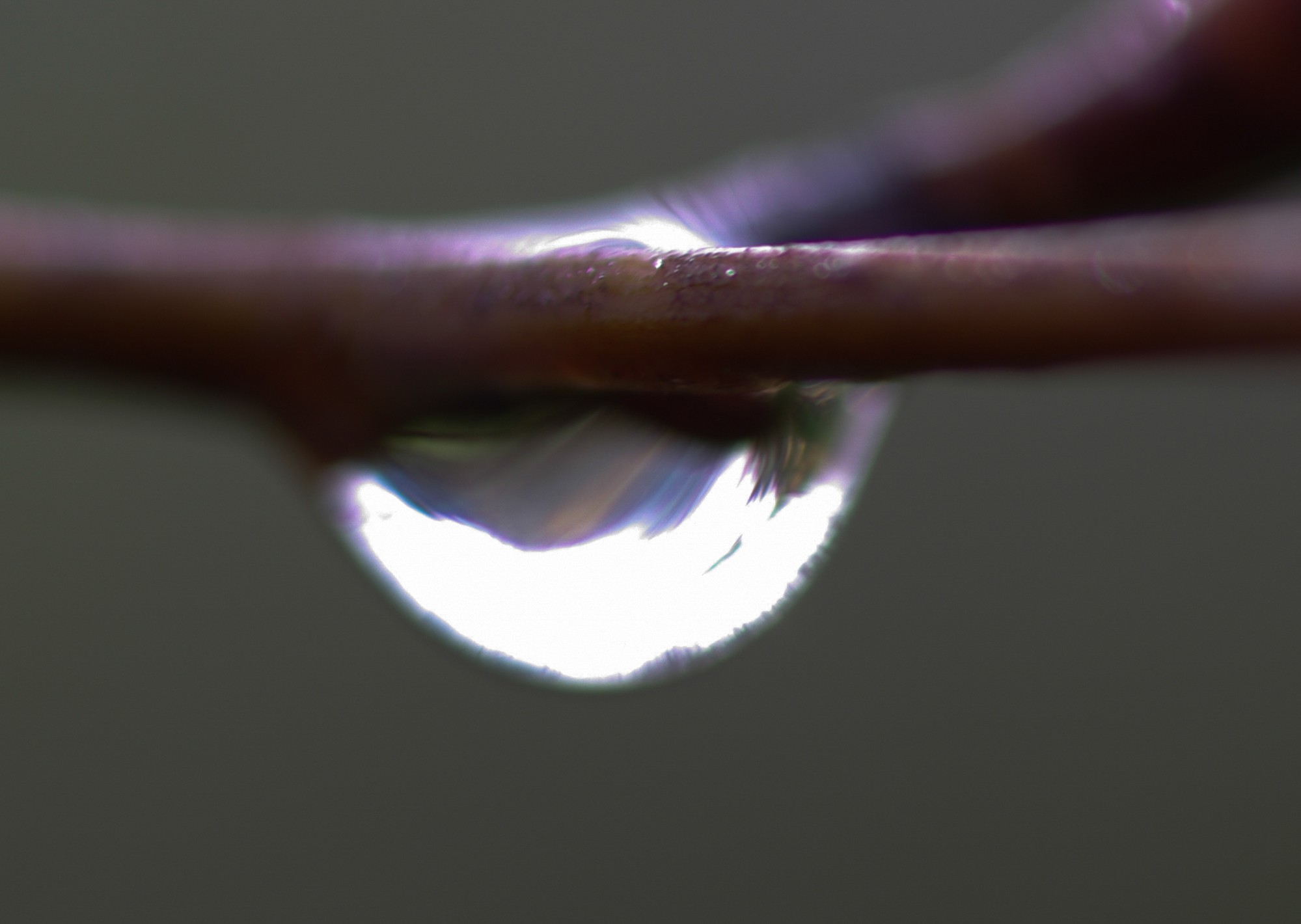 le Claveyron confiné dans une goutte d'eau