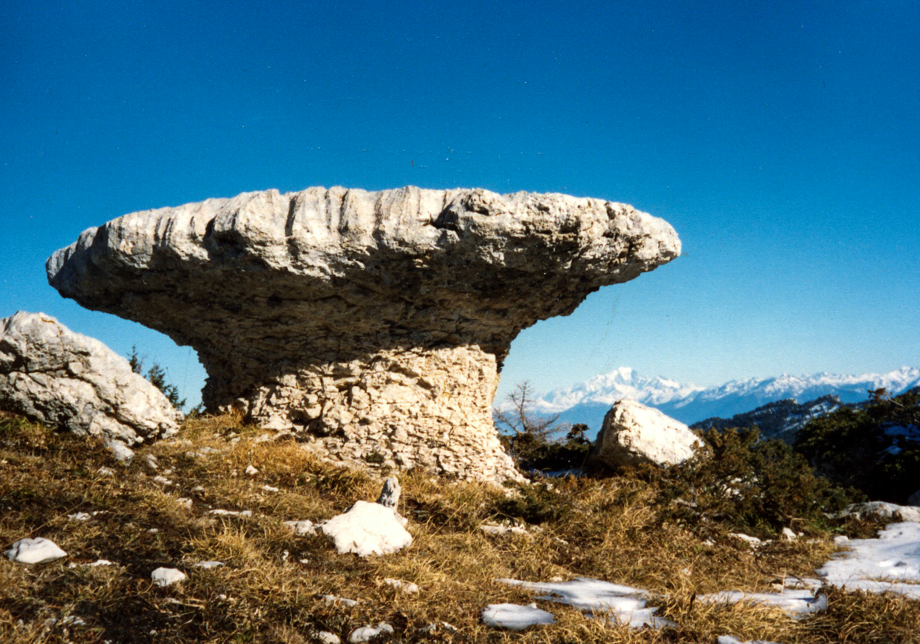 le champignon de pierre