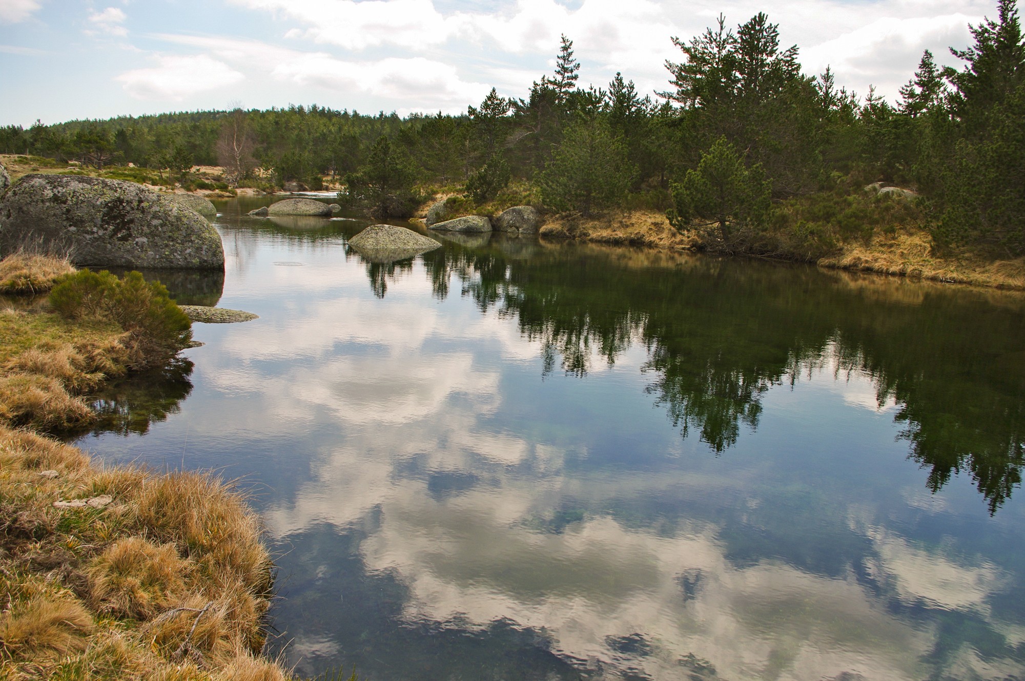 sources du tarn