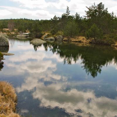 sources du tarn