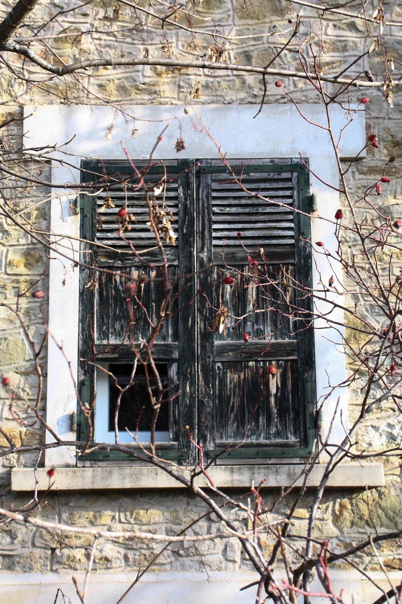 avenue des bruyeres 1