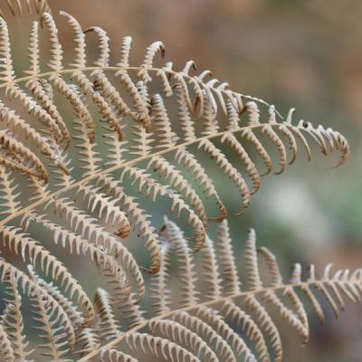 Josiane r 069a7388 redimensionner