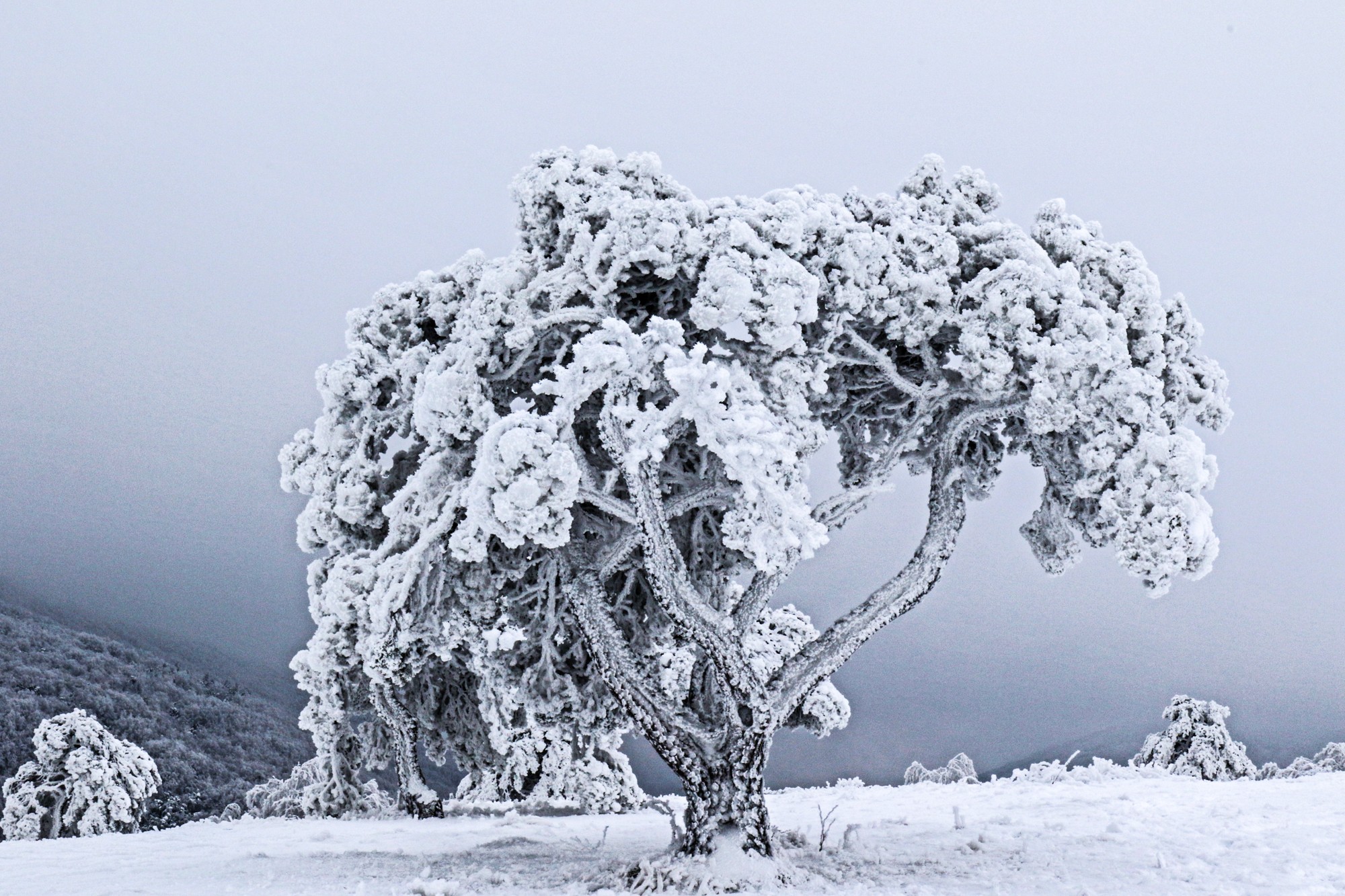 enveloppe de glace