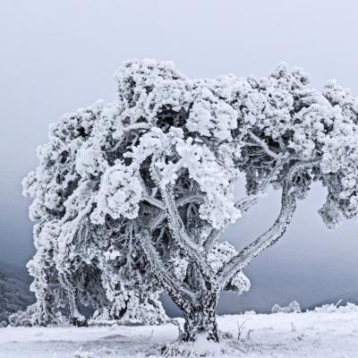 enveloppe de glace