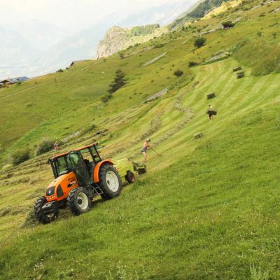 fenaison à vars