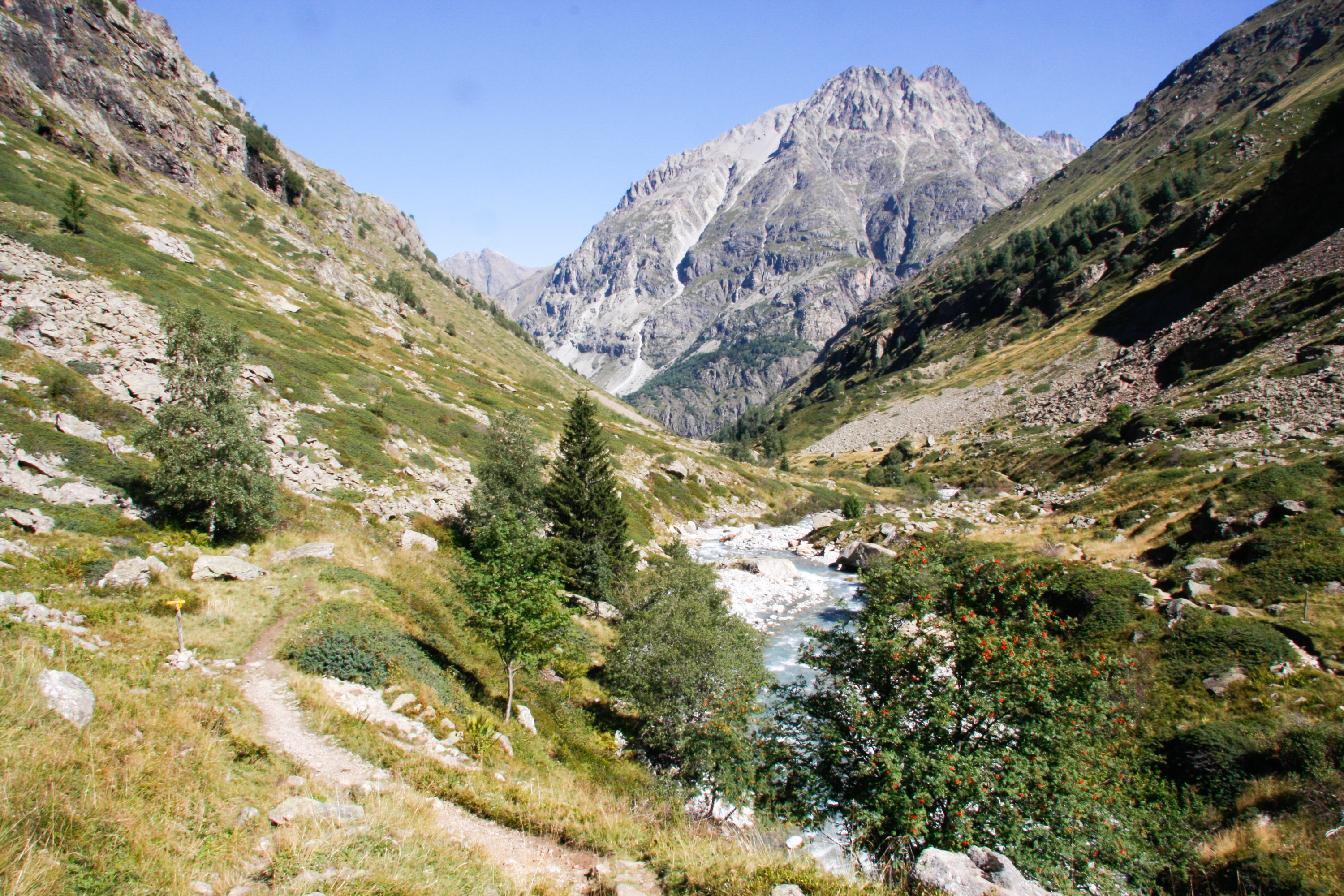 Lauvitel