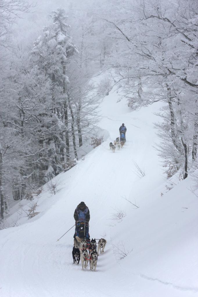 JRob vercors quest 2018--2