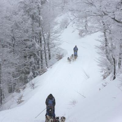 JRob vercors quest 2018--2